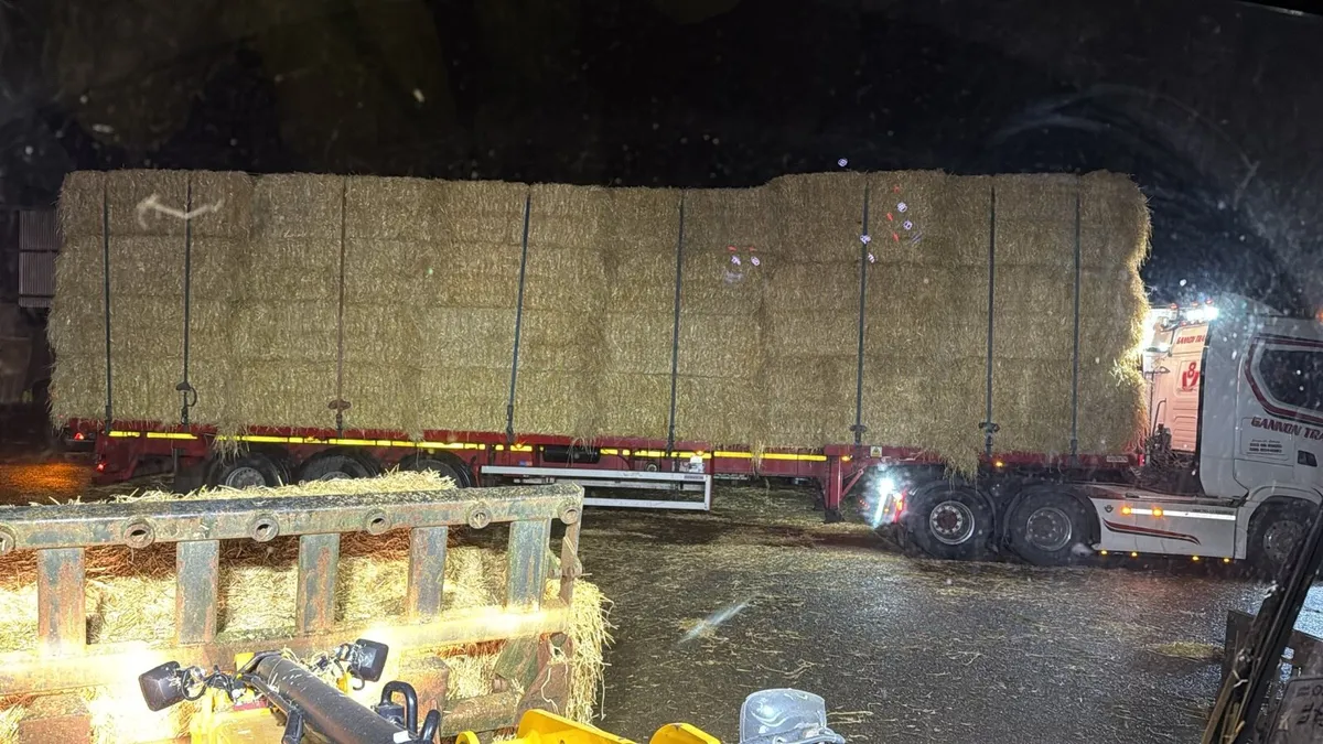 8x4x3 straw - Image 3