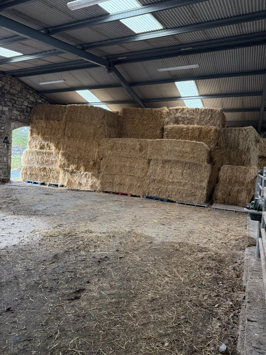 8x4x3 straw - Image 4