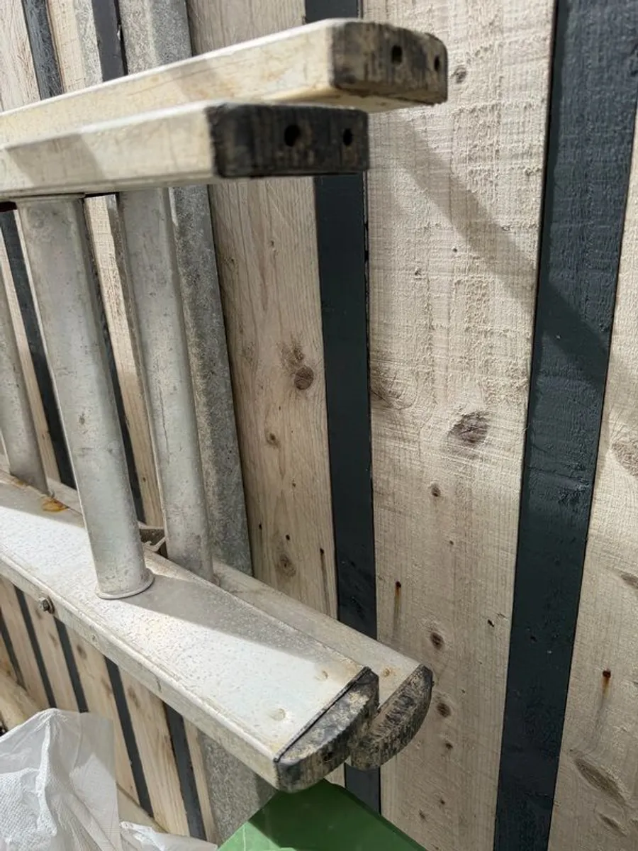 Ladder - Image 3