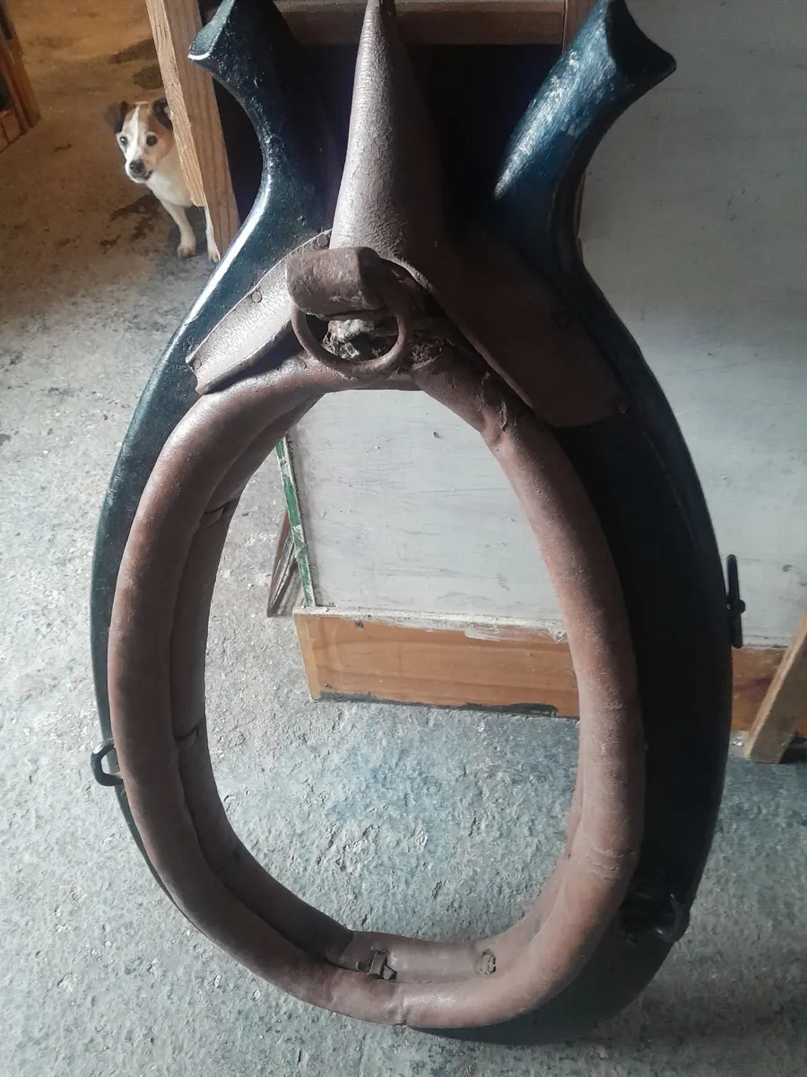 Vintage  horse  collar - Image 3