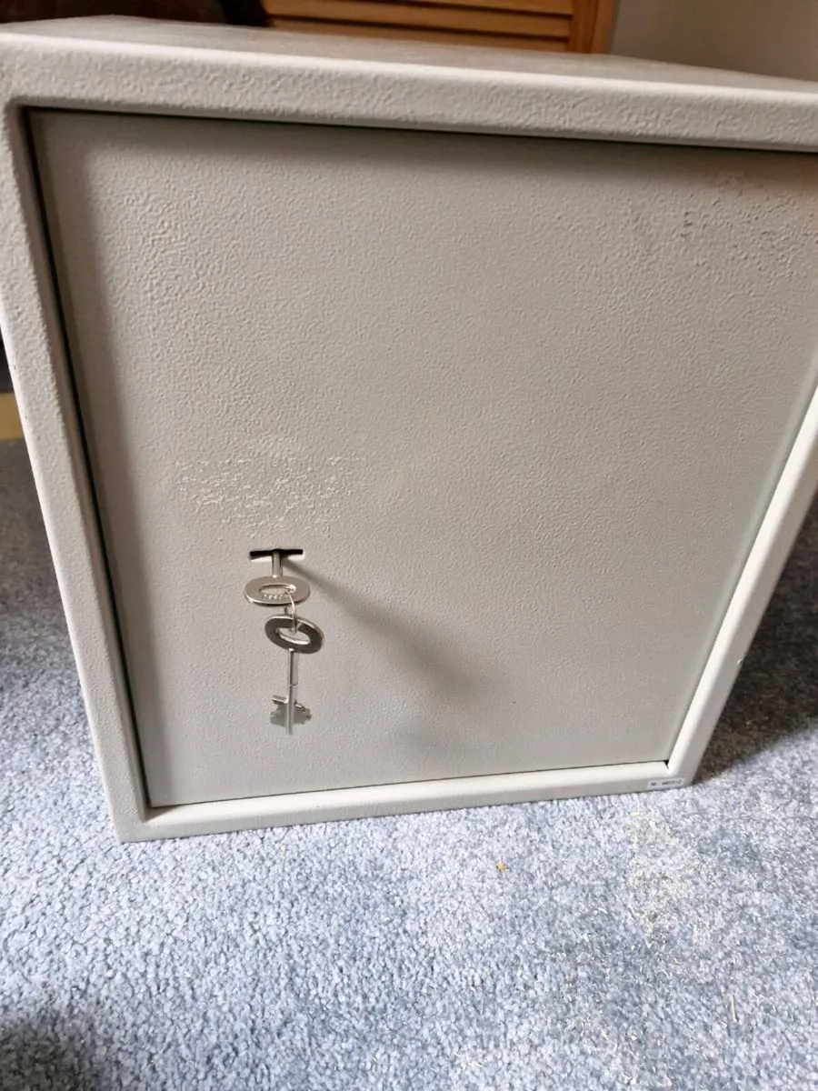 House Safe - Image 1