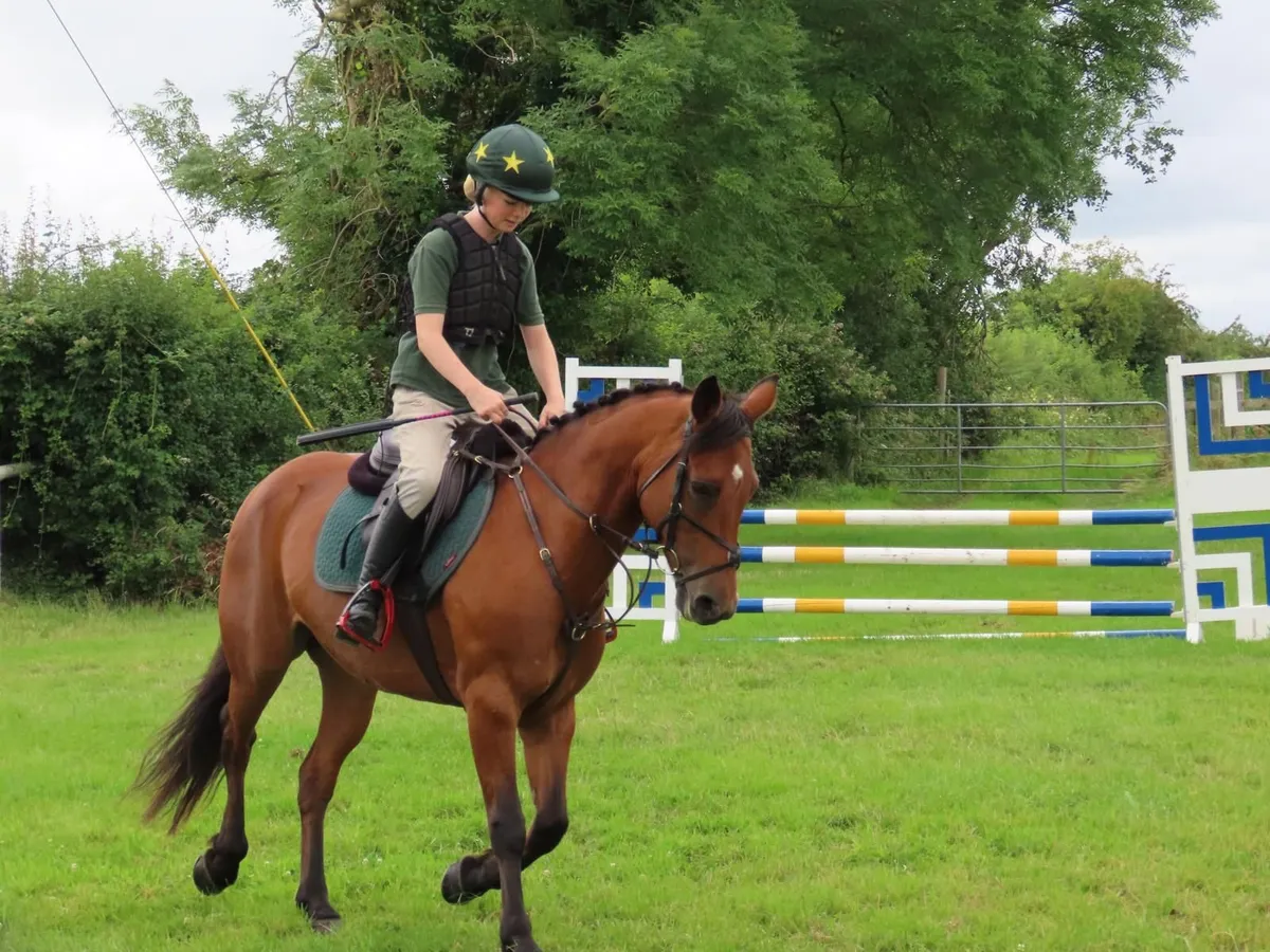 Pony Club dream Pony - Image 4