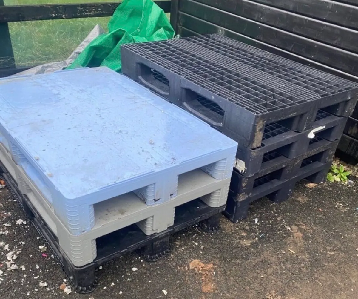 Pallets for sale - Image 1