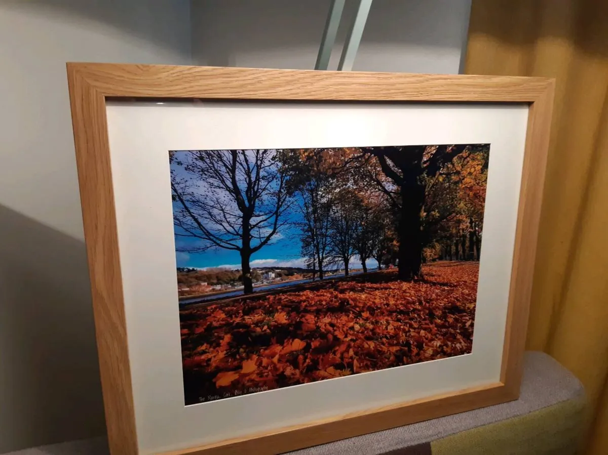 The Marina, Cork - Image 2