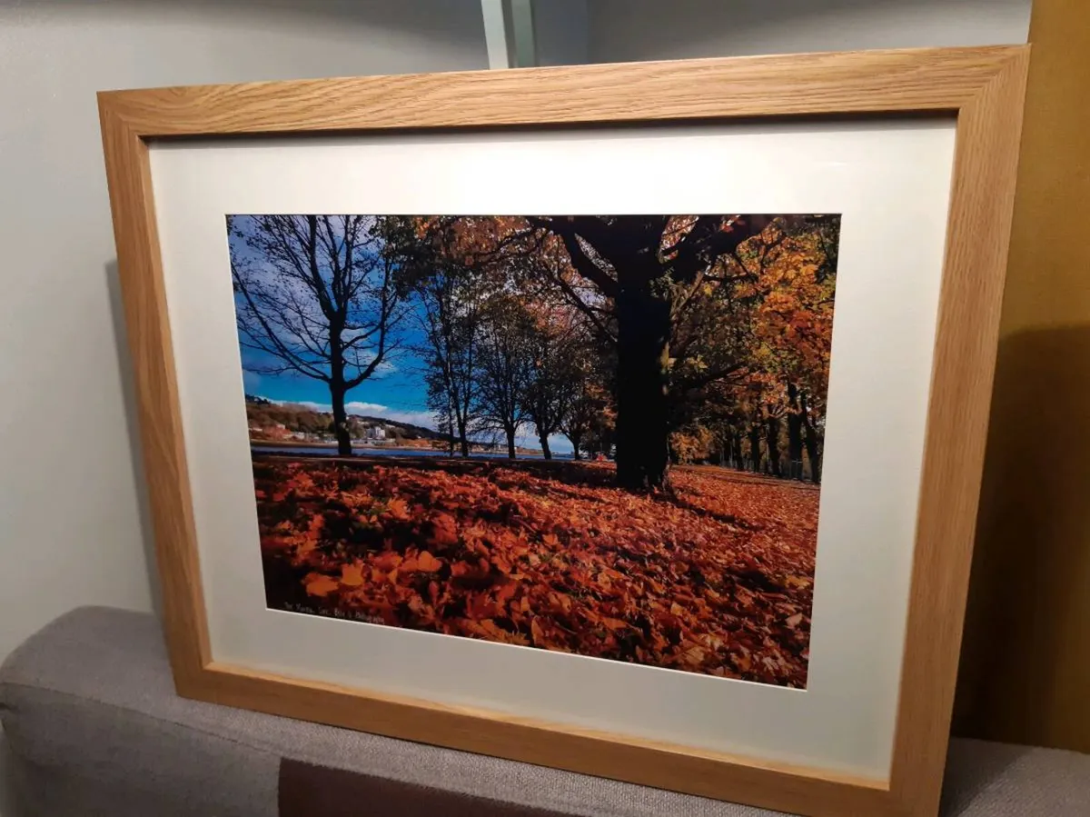 The Marina, Cork - Image 3