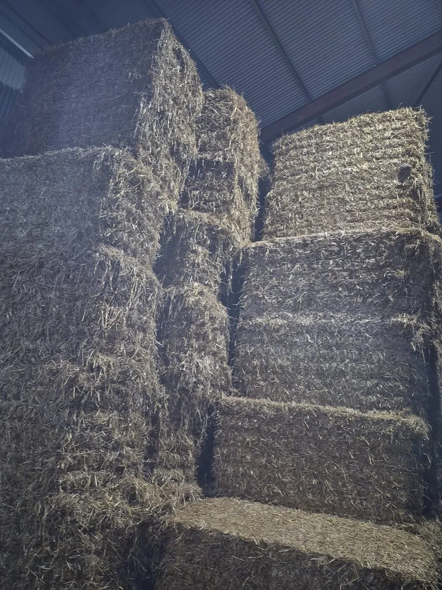 Straw & Silage Bales for sale - Image 1