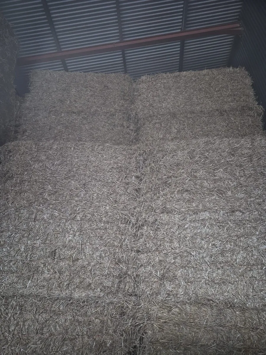 Straw & Silage Bales for sale - Image 2