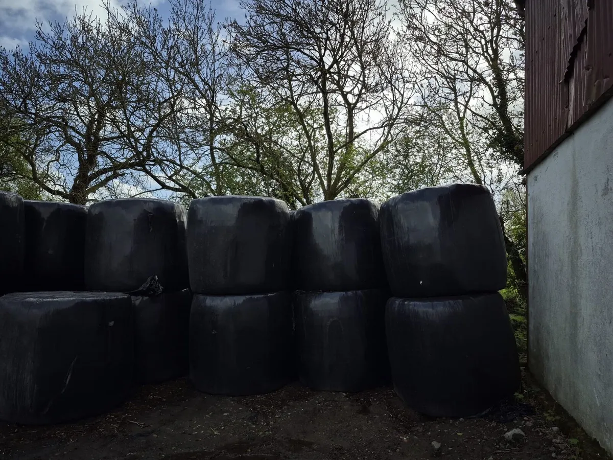Straw & Silage Bales for sale - Image 3