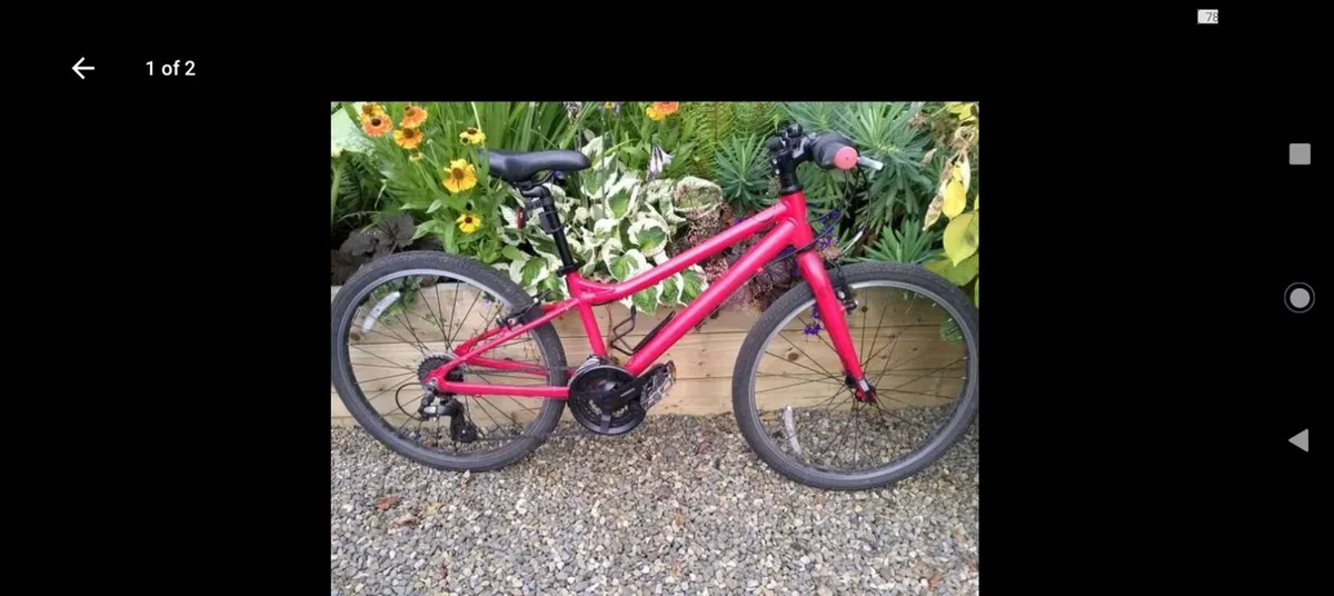 Carrera Saruna Junior bike