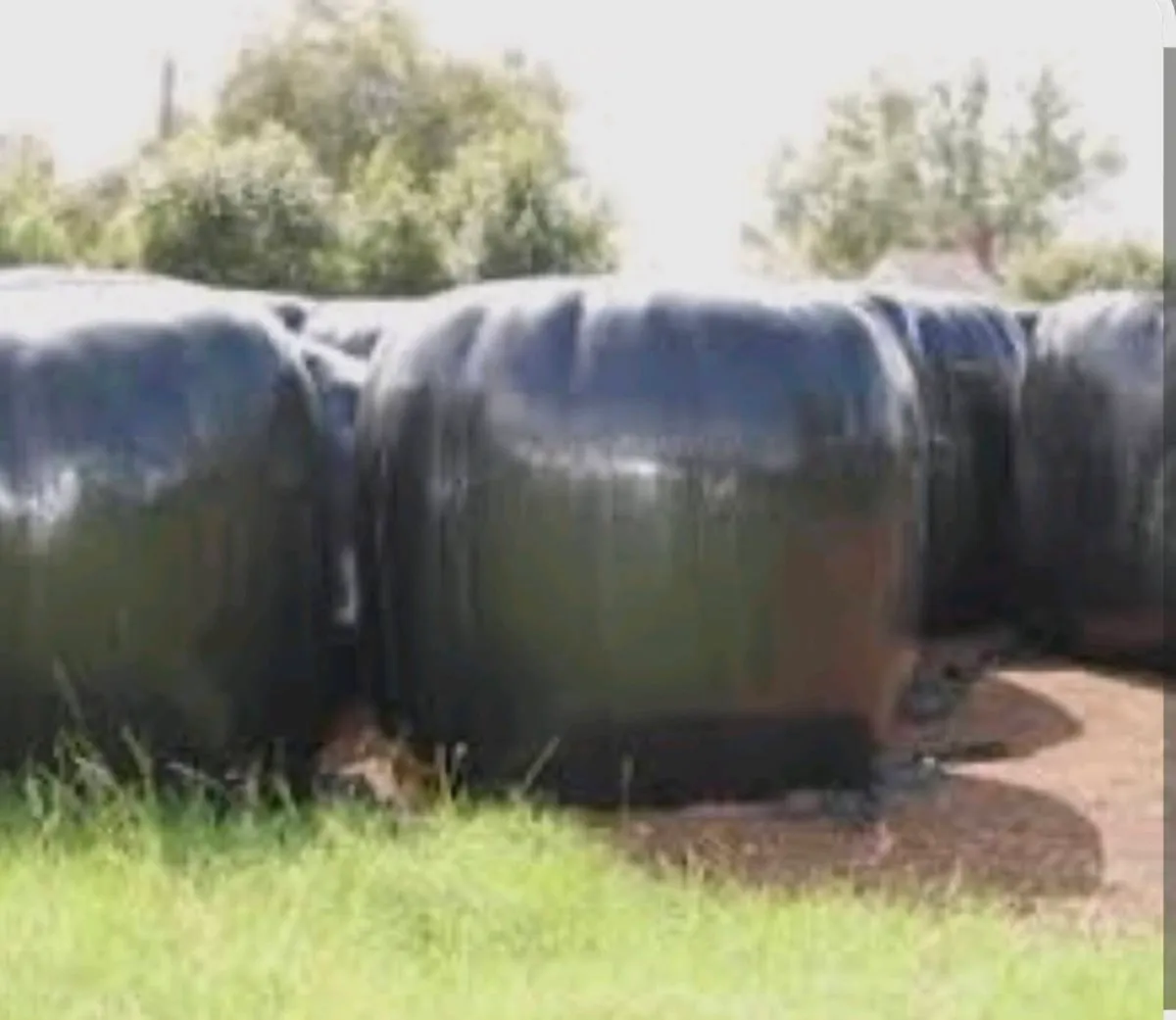 80 Bales of Silage - Image 1