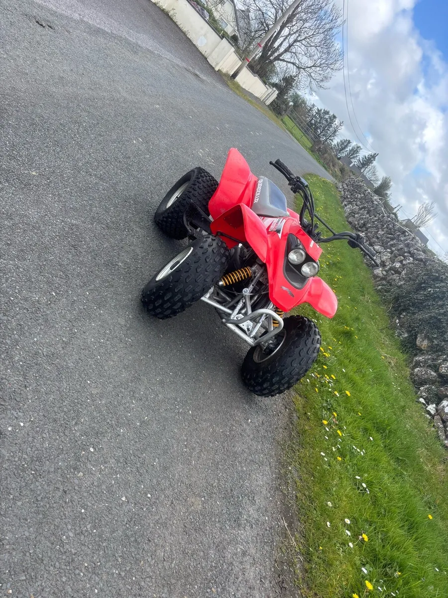 quadzilla - Image 2