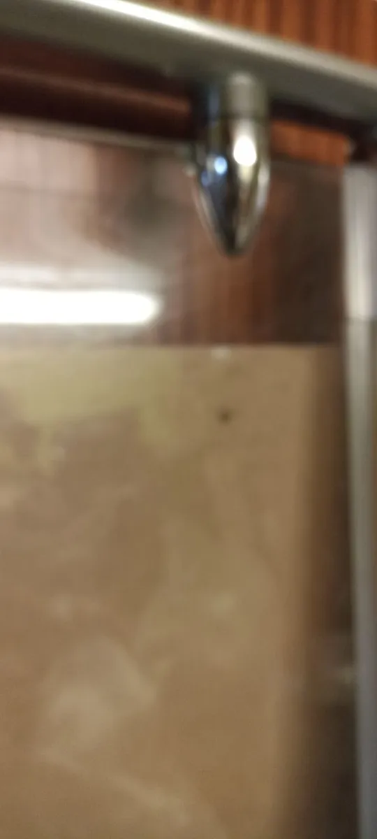 Shower Screen Door - Image 3