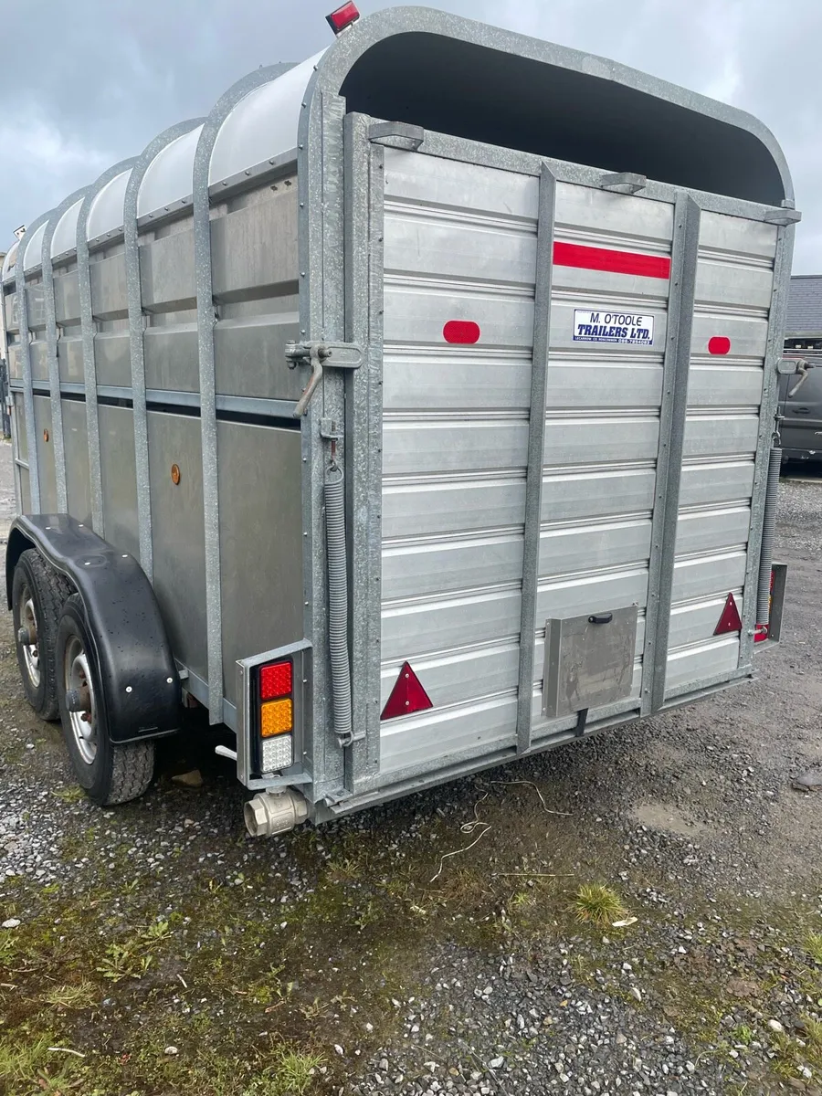 Cattle Trailer - Image 2