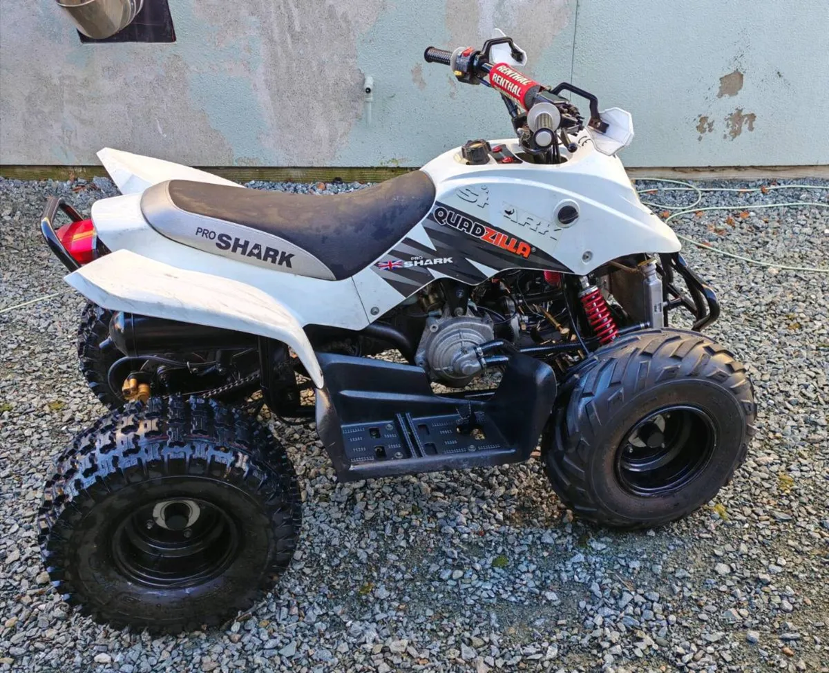 Quadzilla Pro Shark 100CC - Image 1
