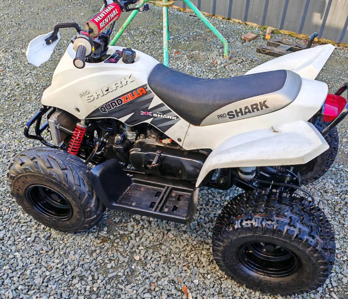 Quadzilla Pro Shark 100CC - Image 2