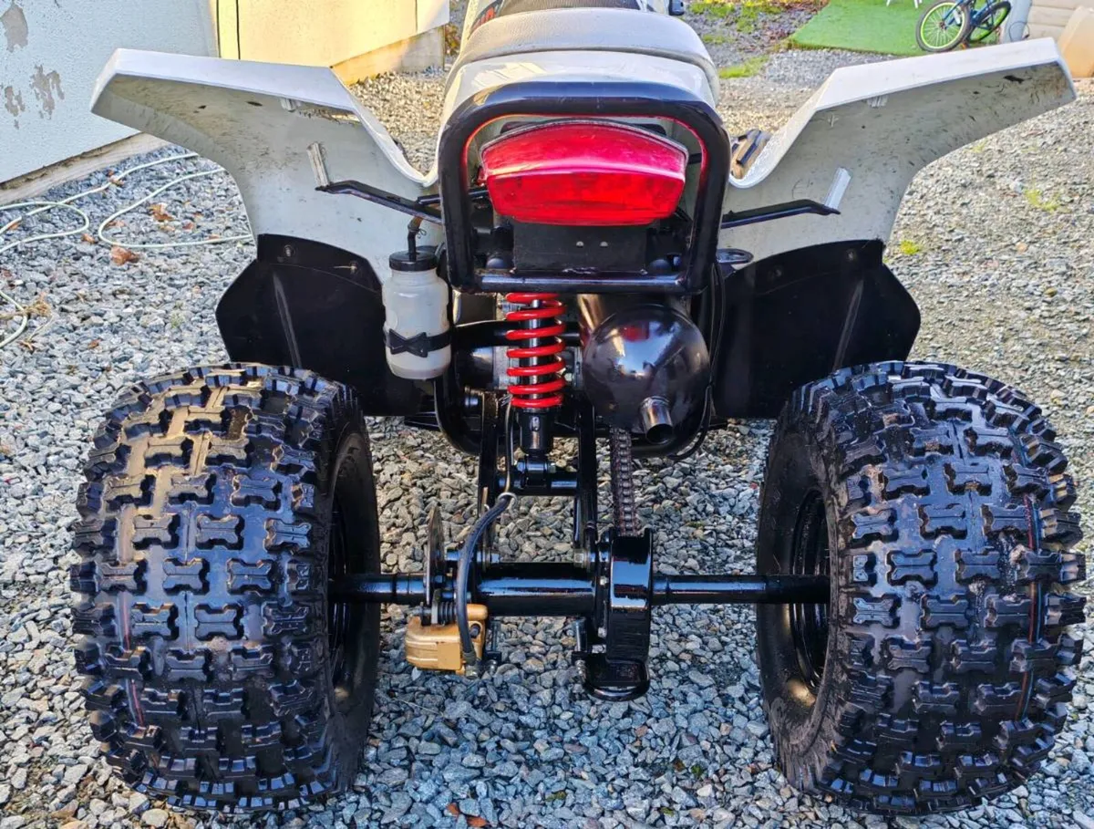 Quadzilla Pro Shark 100CC - Image 3