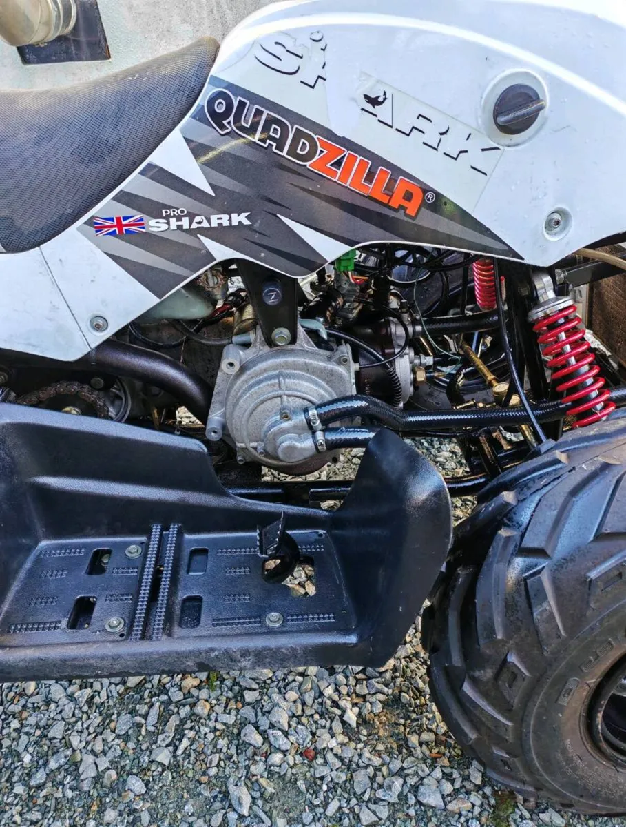 Quadzilla Pro Shark 100CC - Image 4