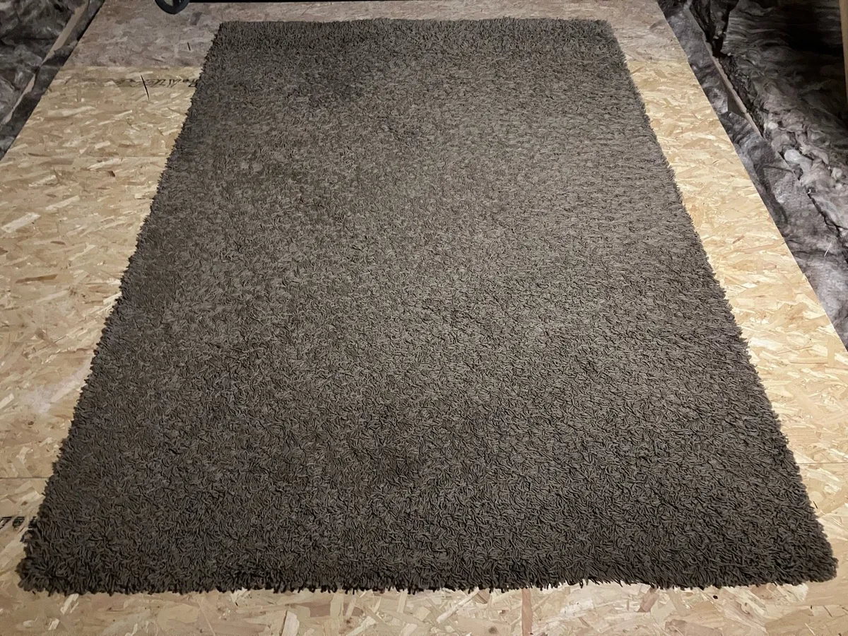 Large Brown Rug - Image 1
