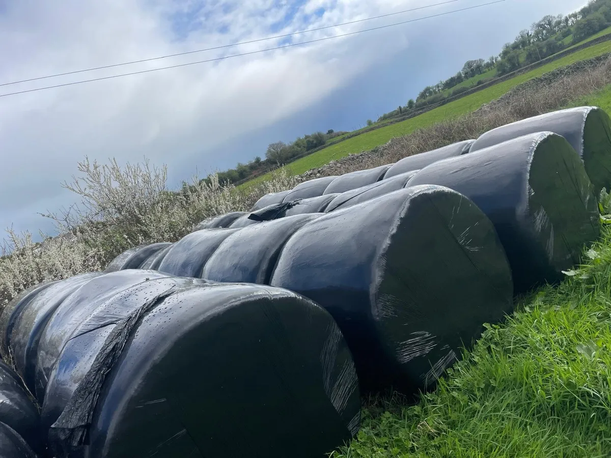 Bale silage for sale - Image 1