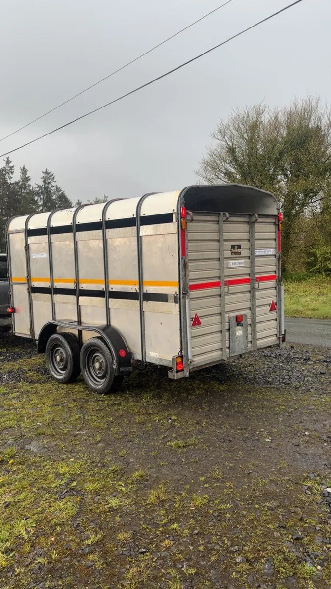 Ifor williams cattle trailer - Image 4