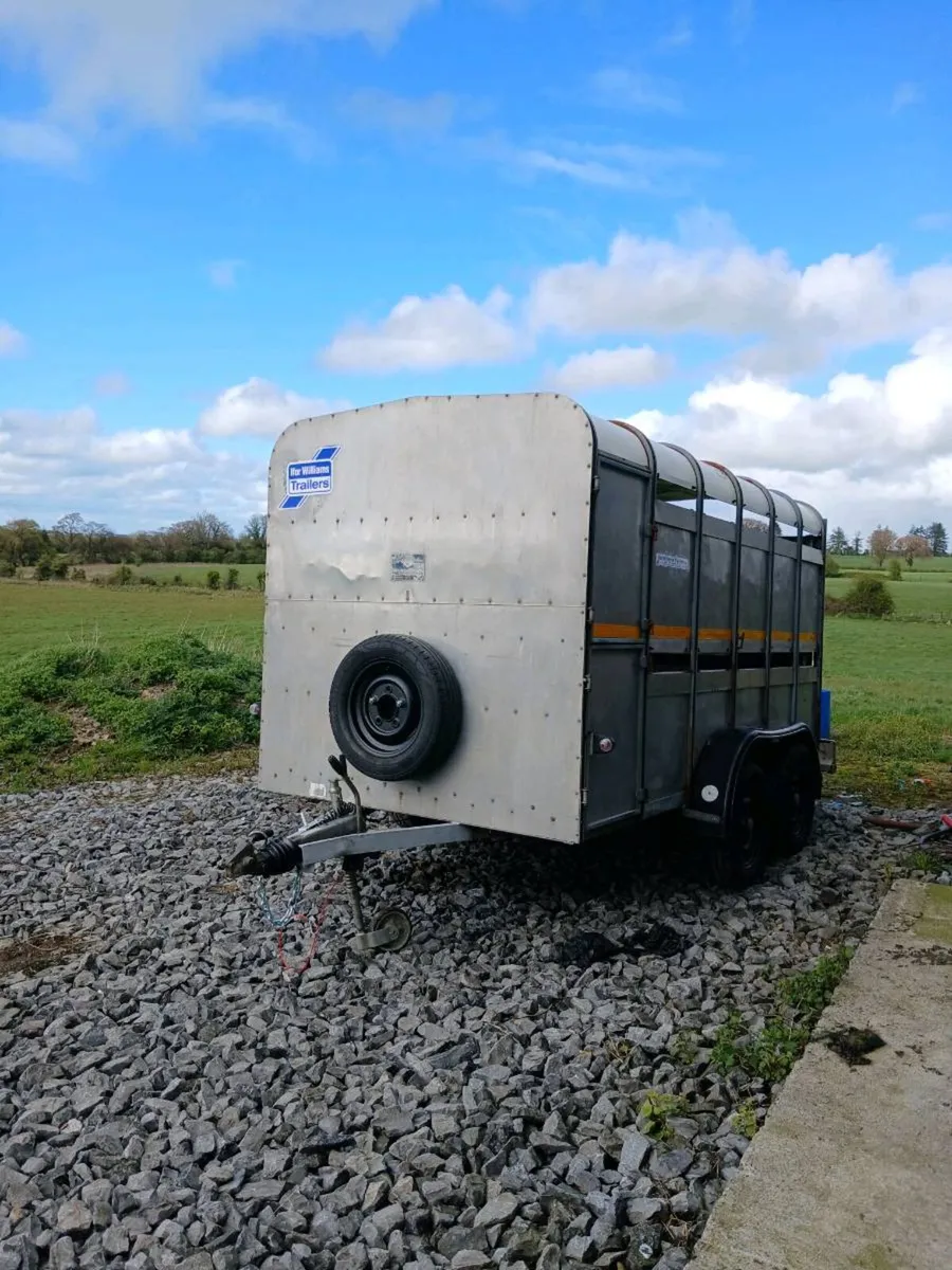 Ifor williams cattle trailer - Image 2