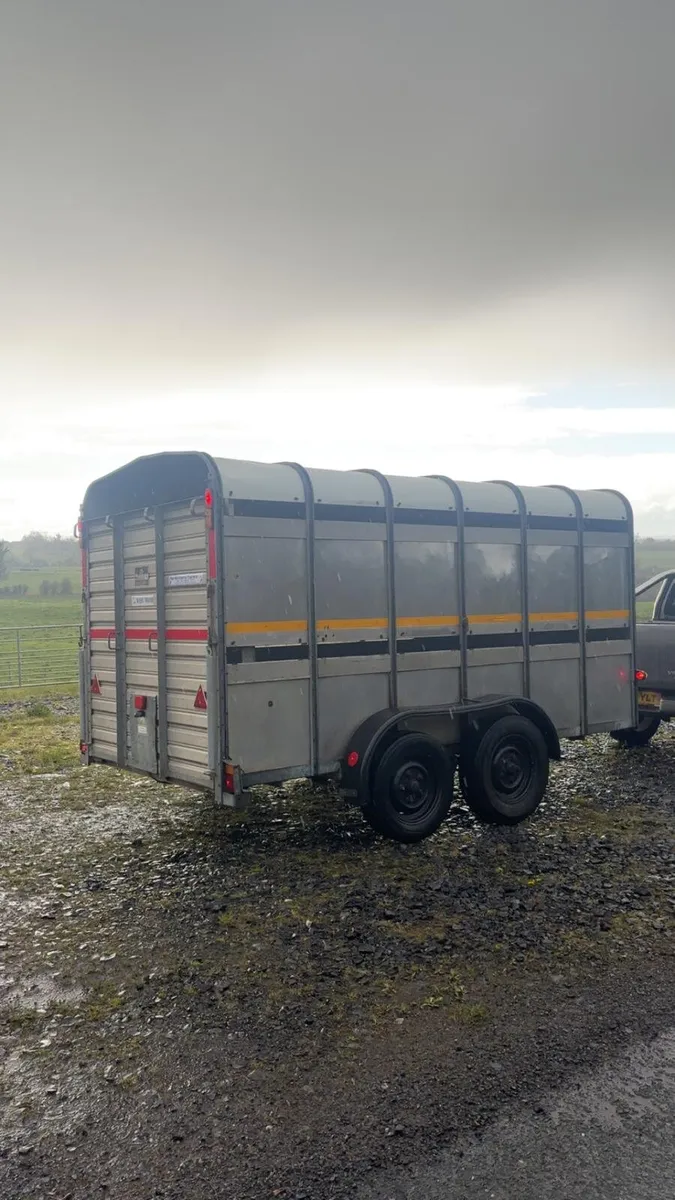 Ifor williams cattle trailer - Image 3
