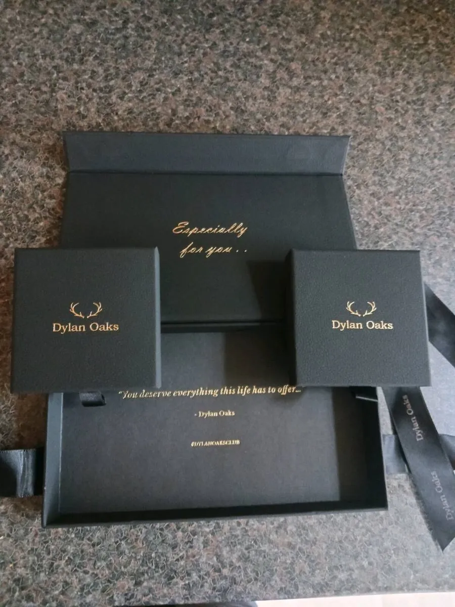 Dylan Oaks Silver Necklace and Bracelet set - Image 3