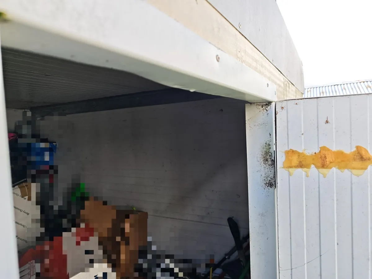 Insulated Custom Built Shed - Image 2