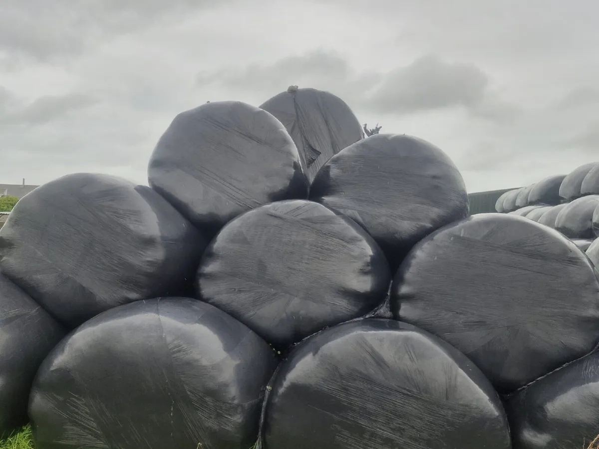 Silage Bales - Image 3