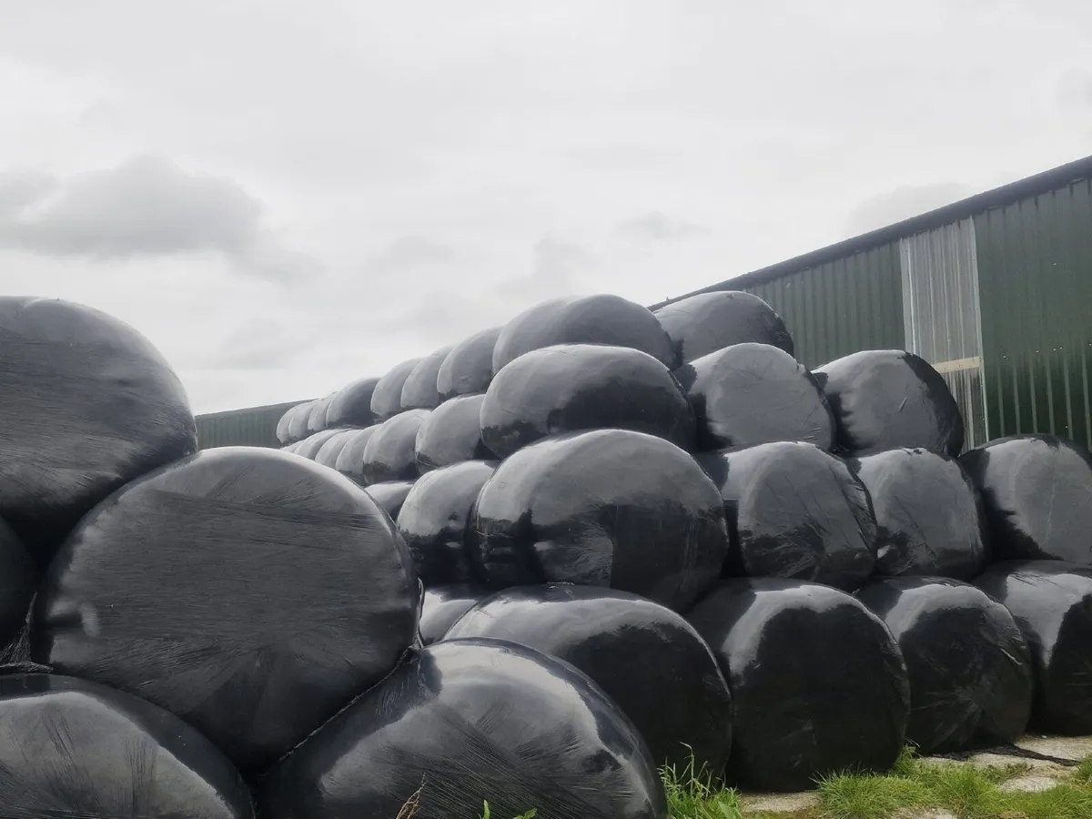 Silage Bales - Image 4