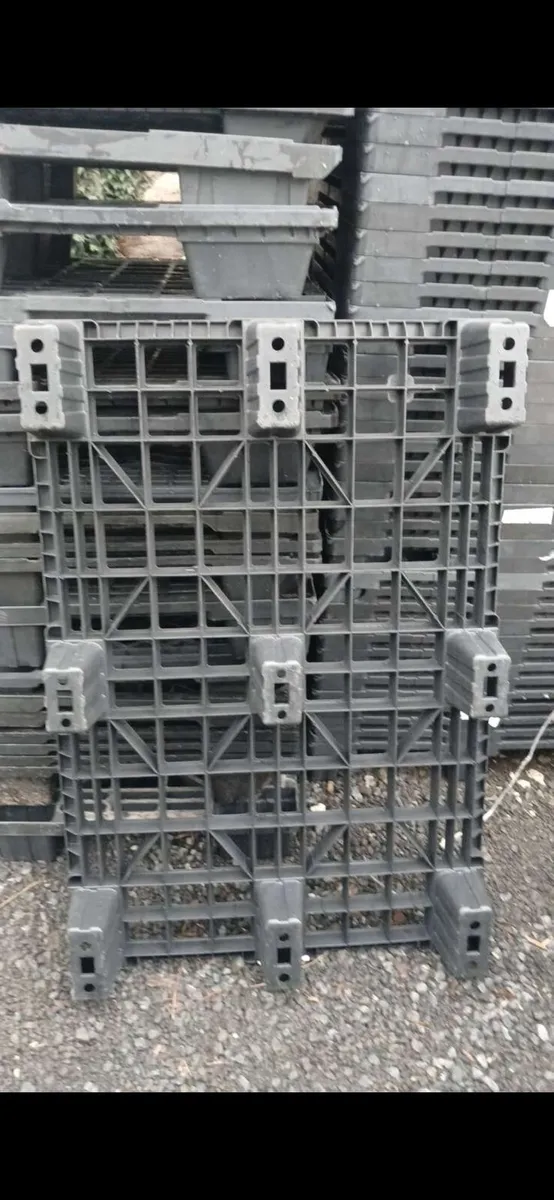 250 plastic pallets. - Image 3