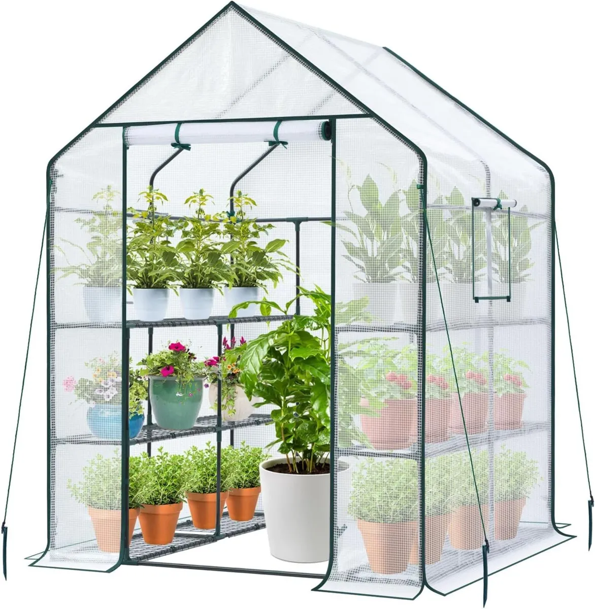 Greenhouse with Shelves for Outdoor Walk in Green - Image 1