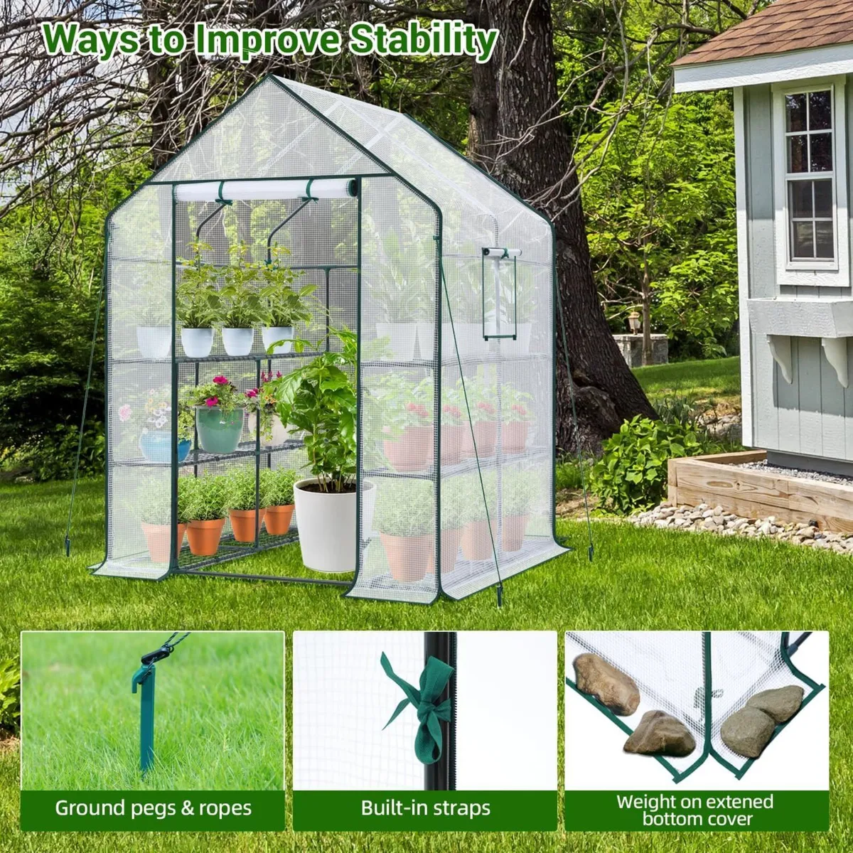 Greenhouse with Shelves for Outdoor Walk in Green - Image 3