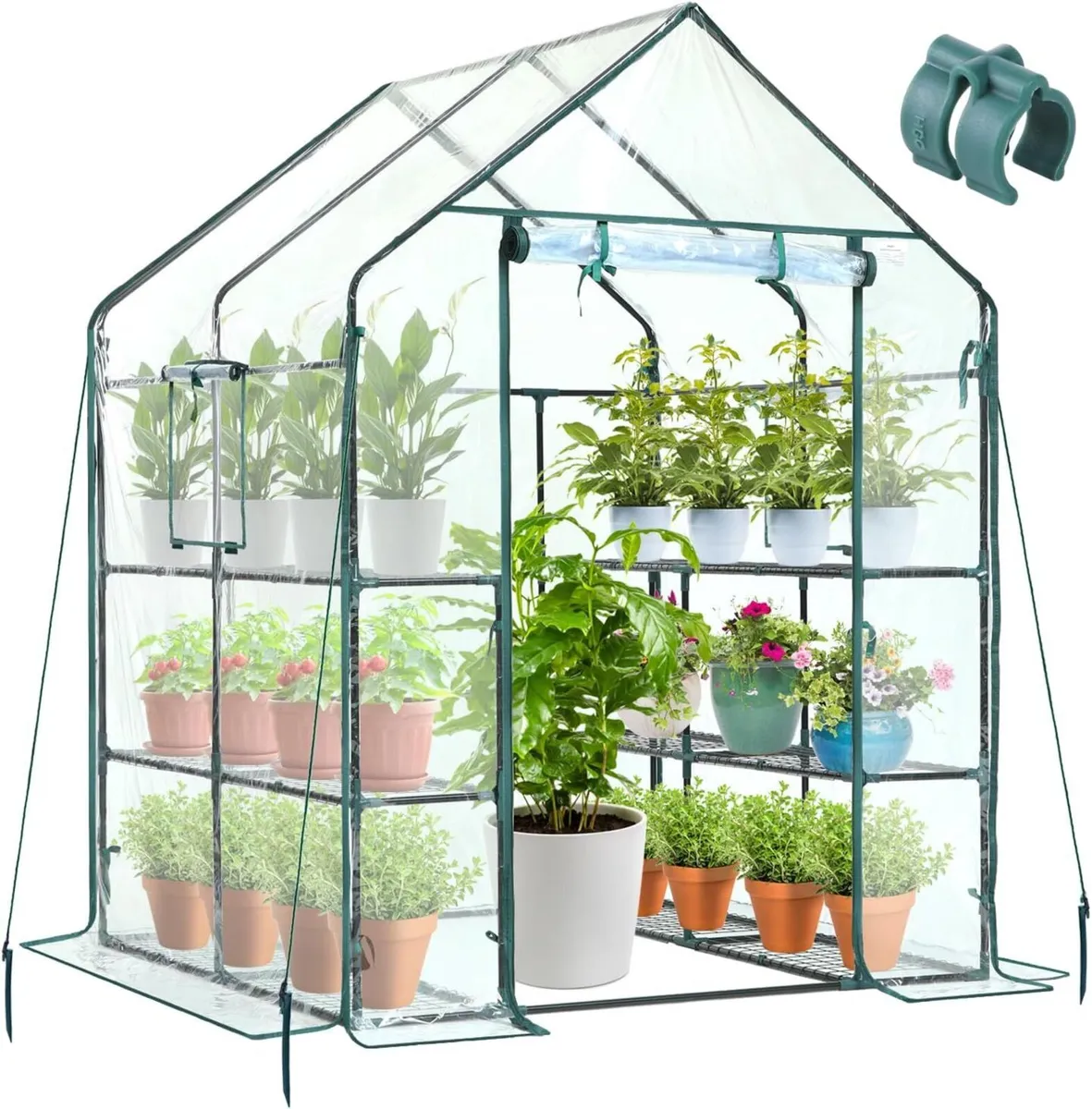 Greenhouse with Shelves for Outdoor Walk in Green - Image 1
