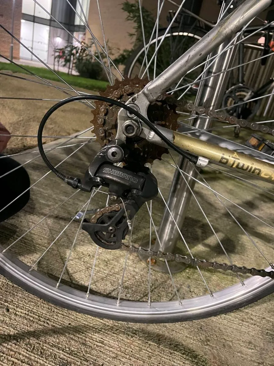 Bike woman medium - Image 2