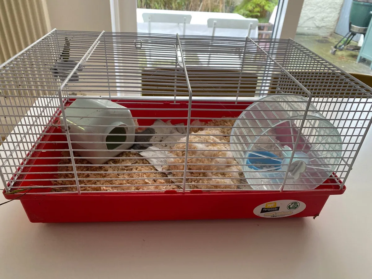 Hamster cage - Image 1