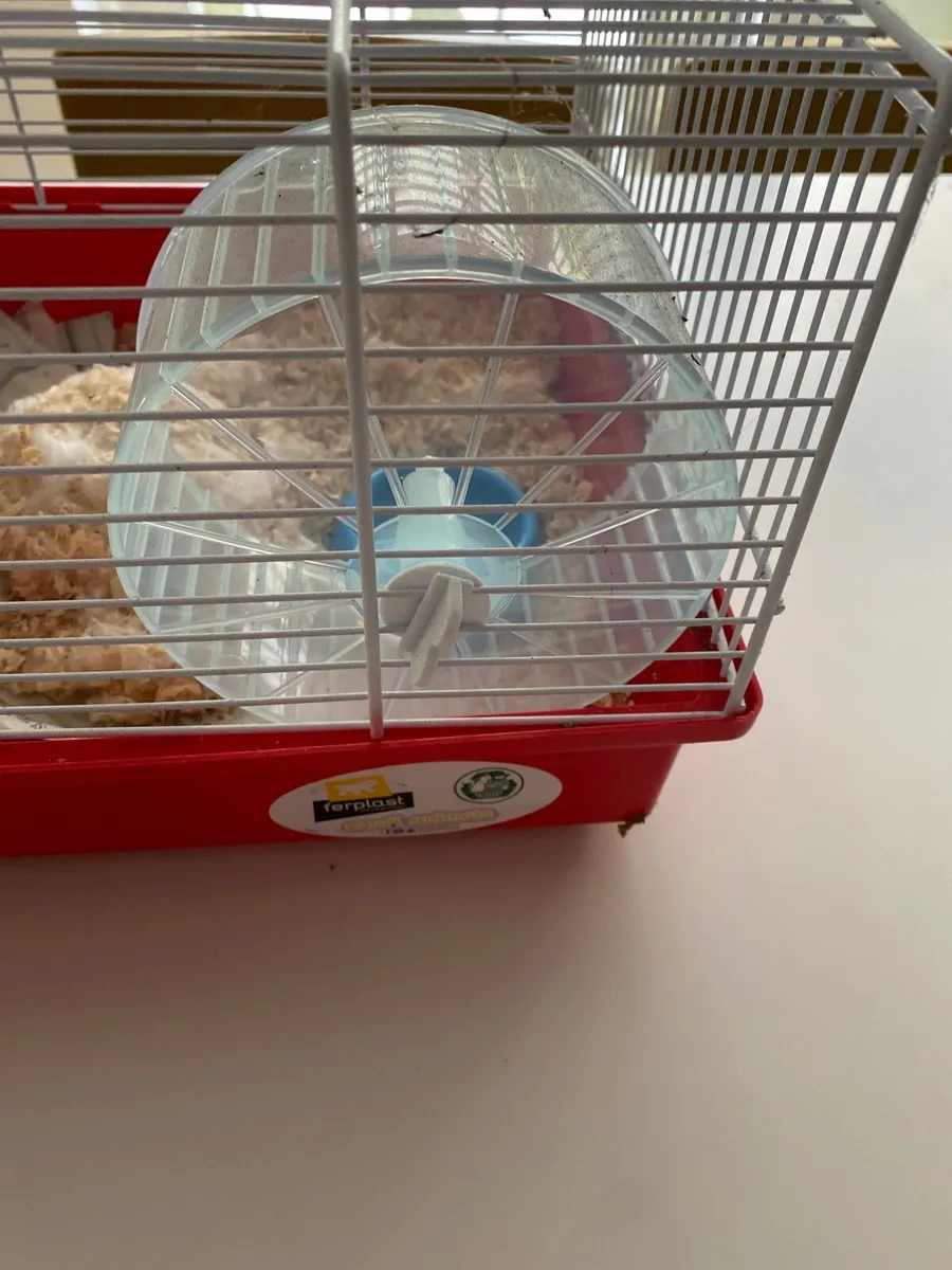 Hamster cage - Image 2