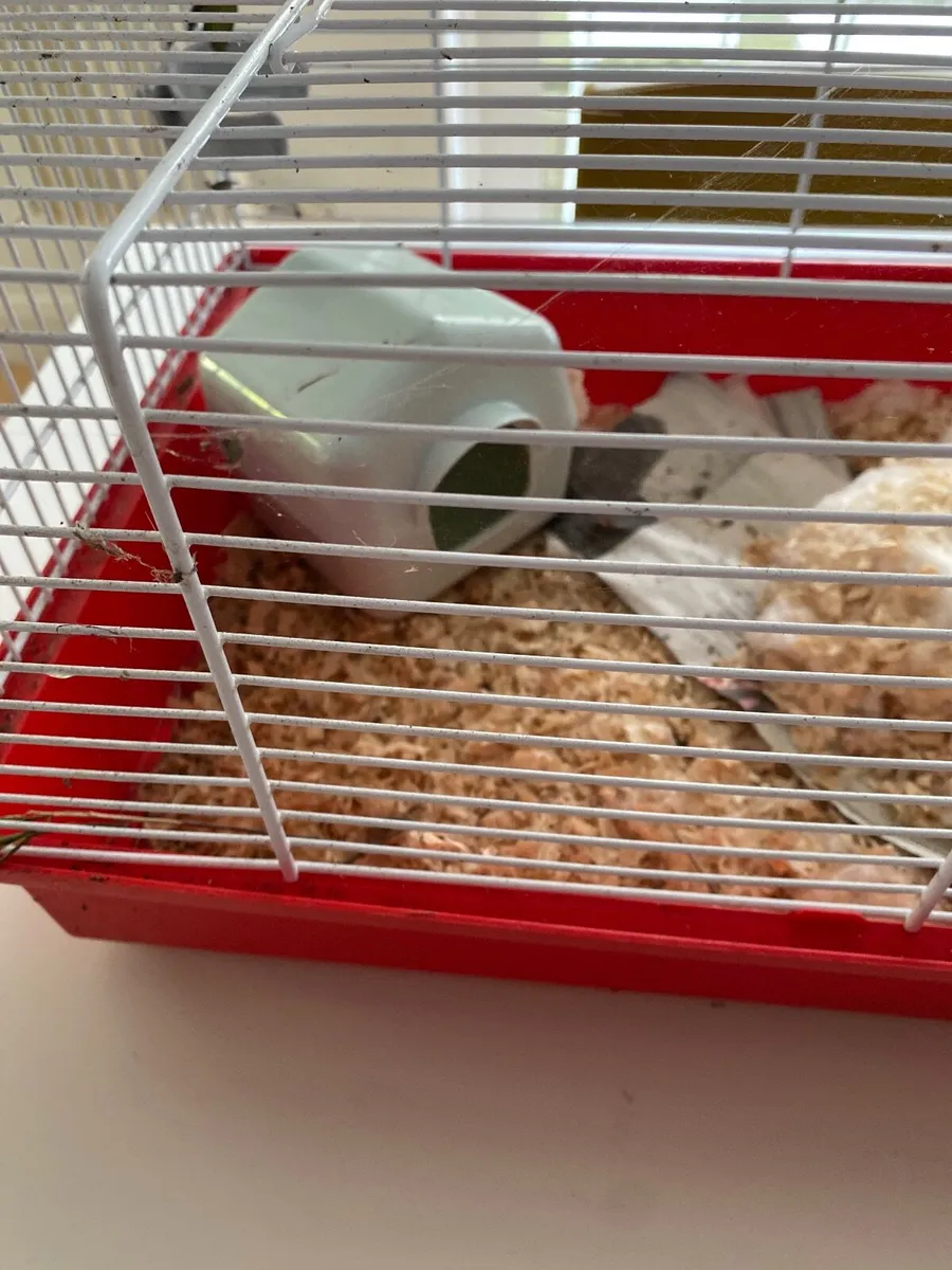 Hamster cage - Image 3