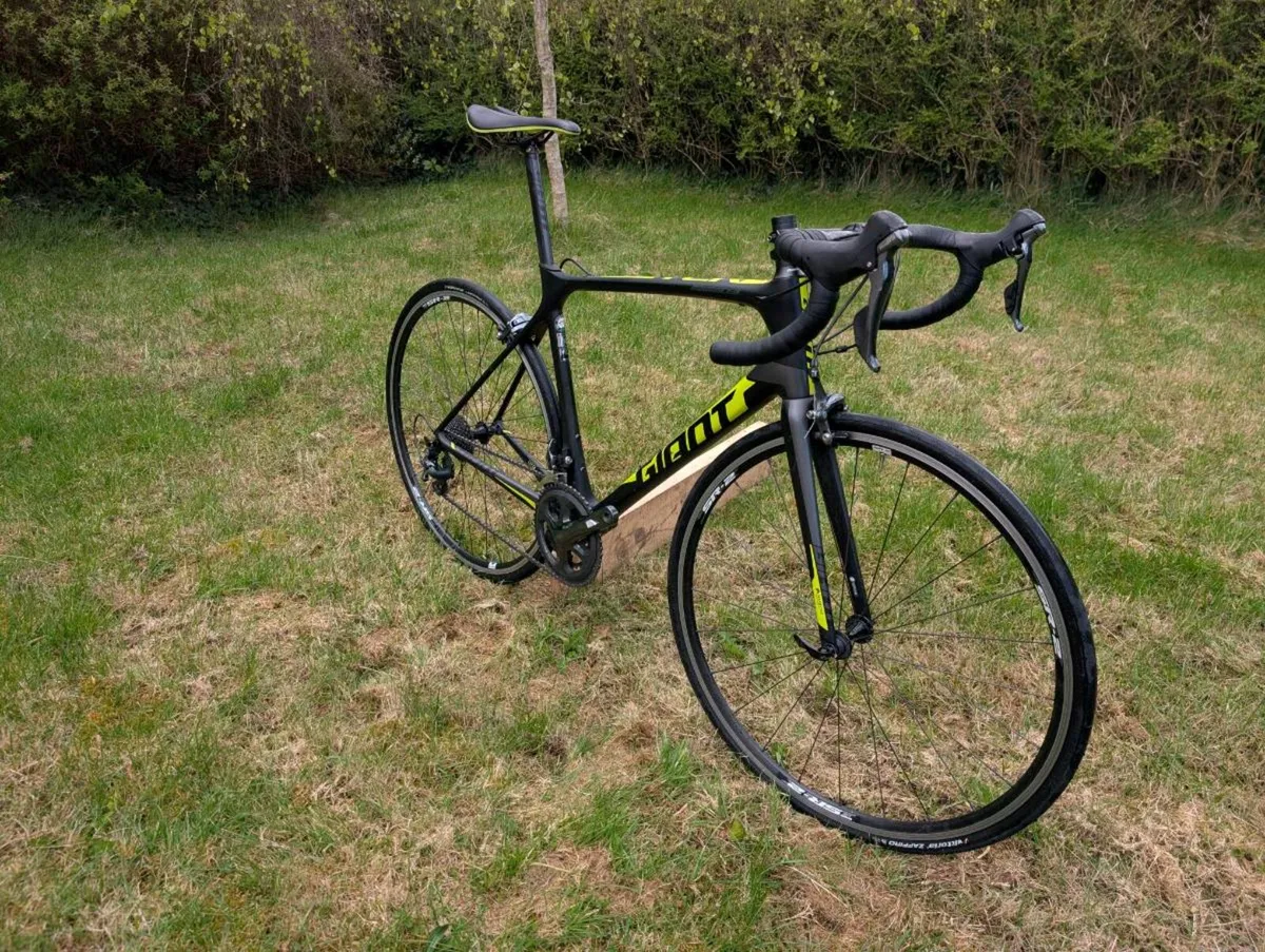 Giant TCR Advanced (ML) - Image 2