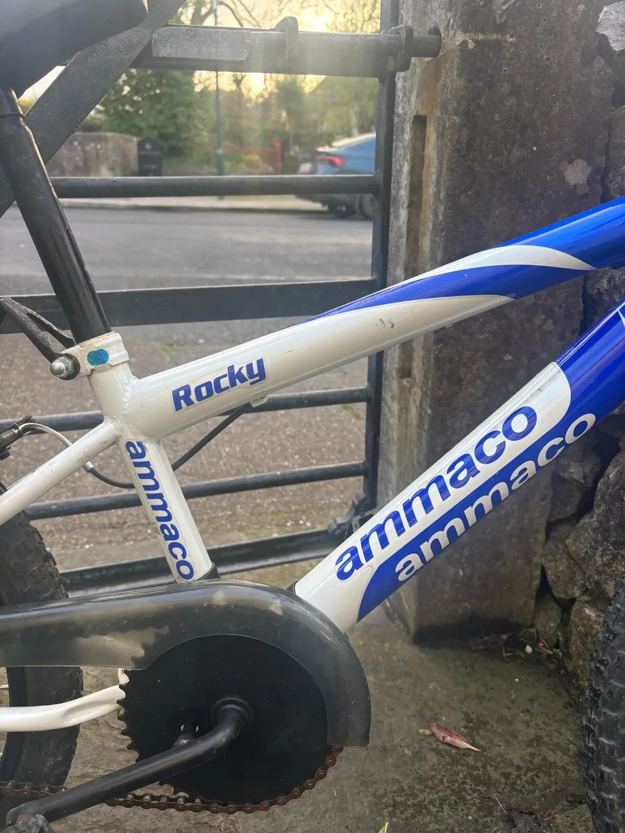 Kids Rocky Bike - Image 2