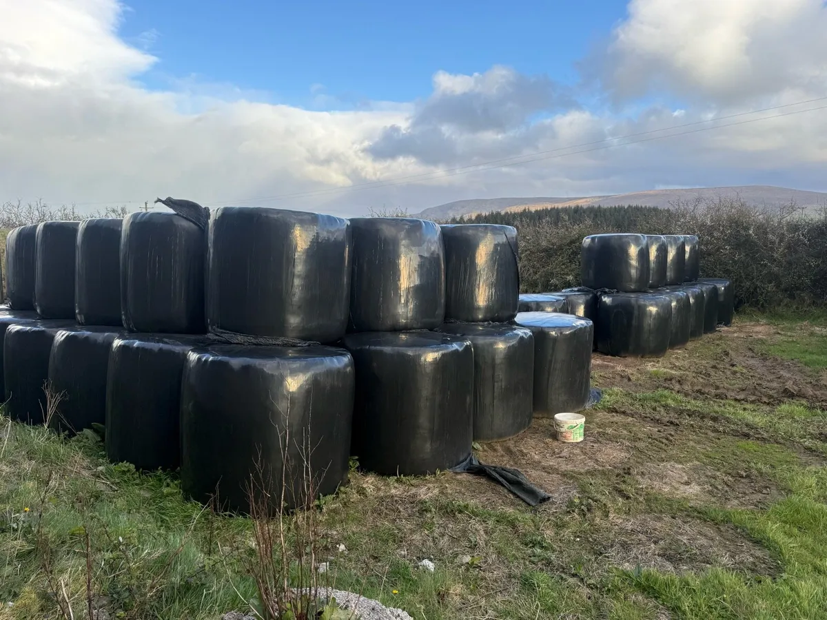 Bales of silage/ Haylage/ Hay