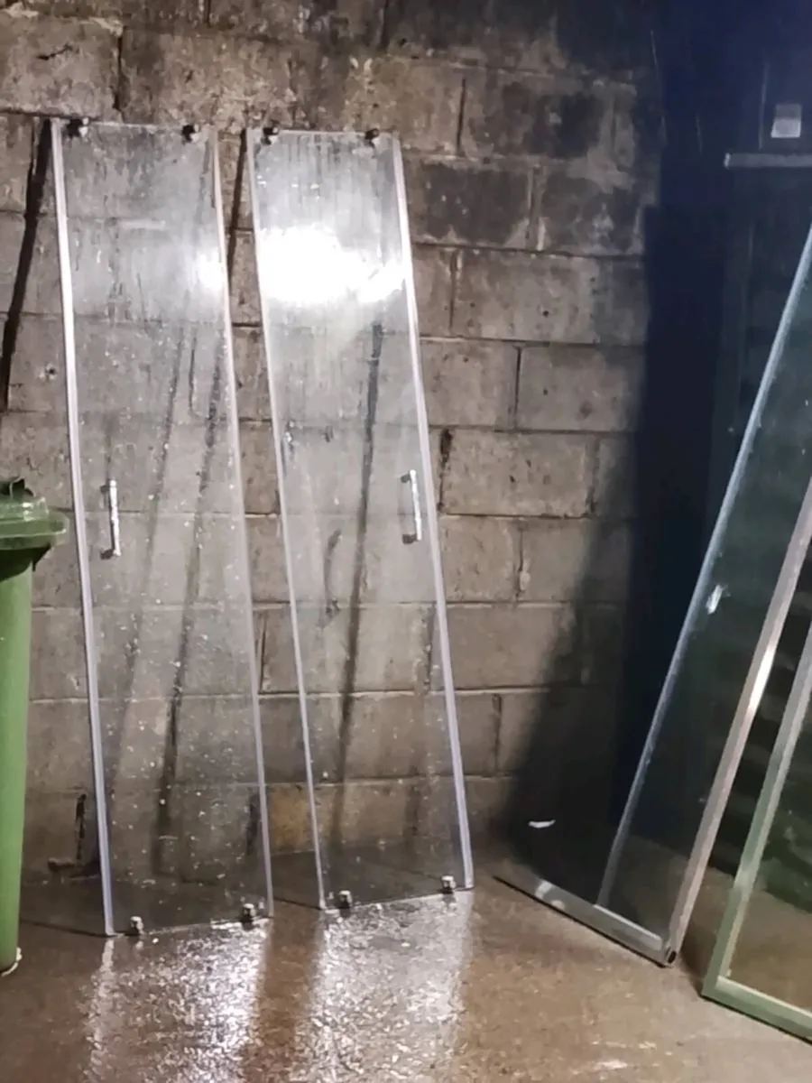 Shower door s and surrounding chrome - Image 1