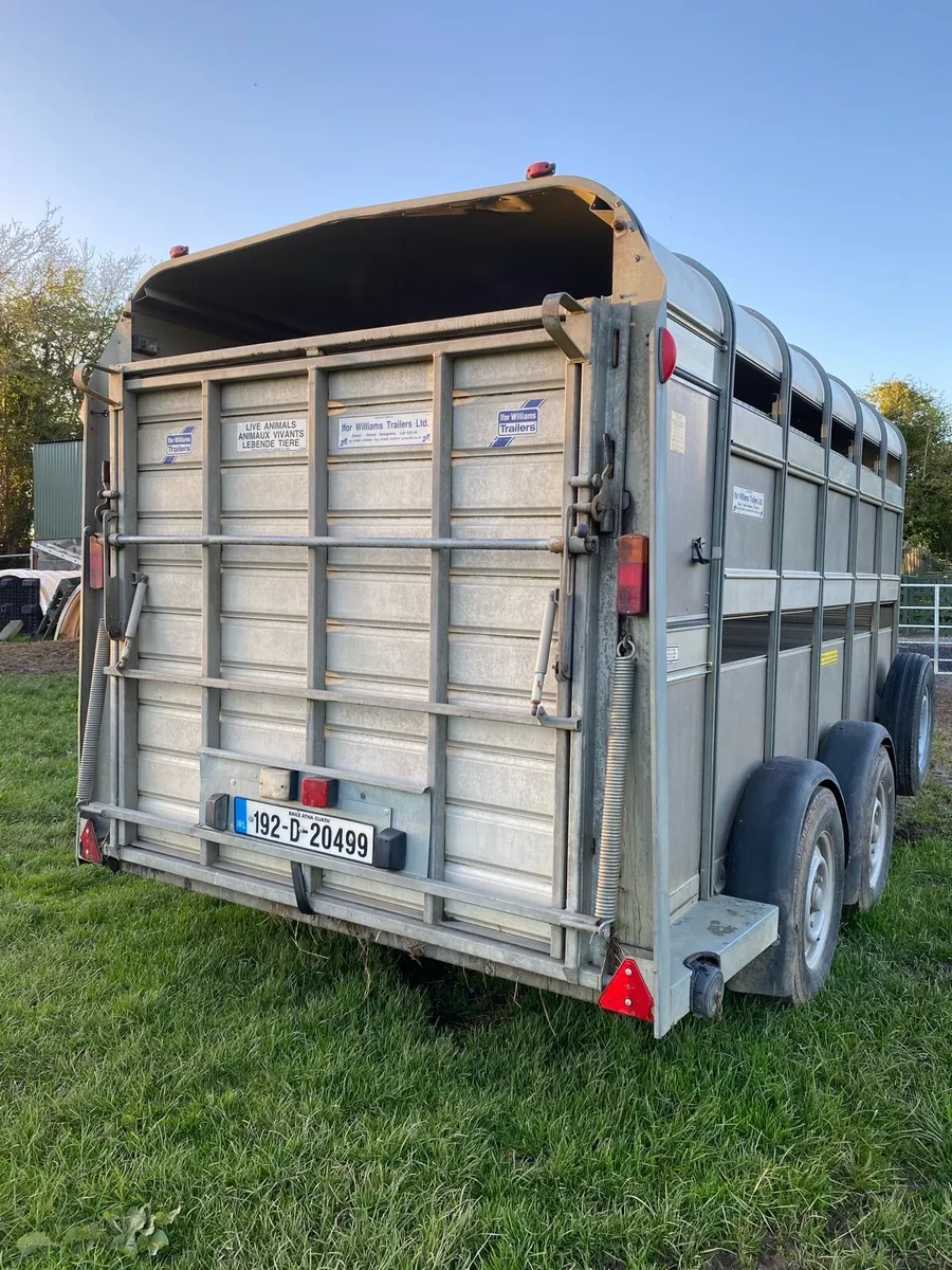 12x5x10 Ivor Williams trailer 2020 with sheep deck - Image 2