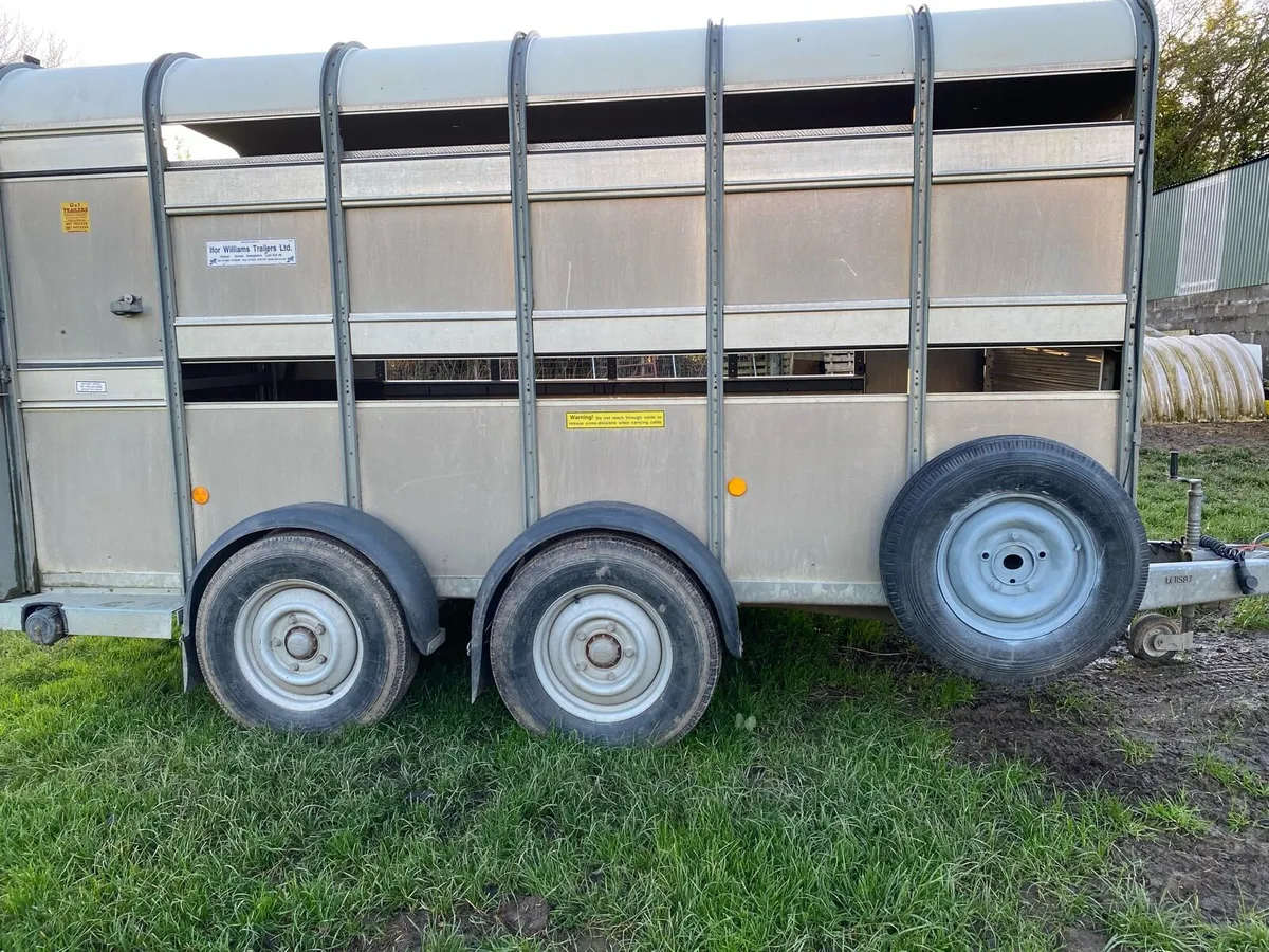 12x5x10 Ivor Williams trailer 2020 with sheep deck - Image 3