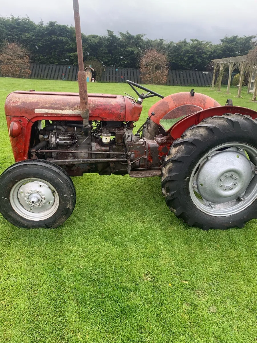 Massey Ferguson 35 with 35x reconditioned - Image 2