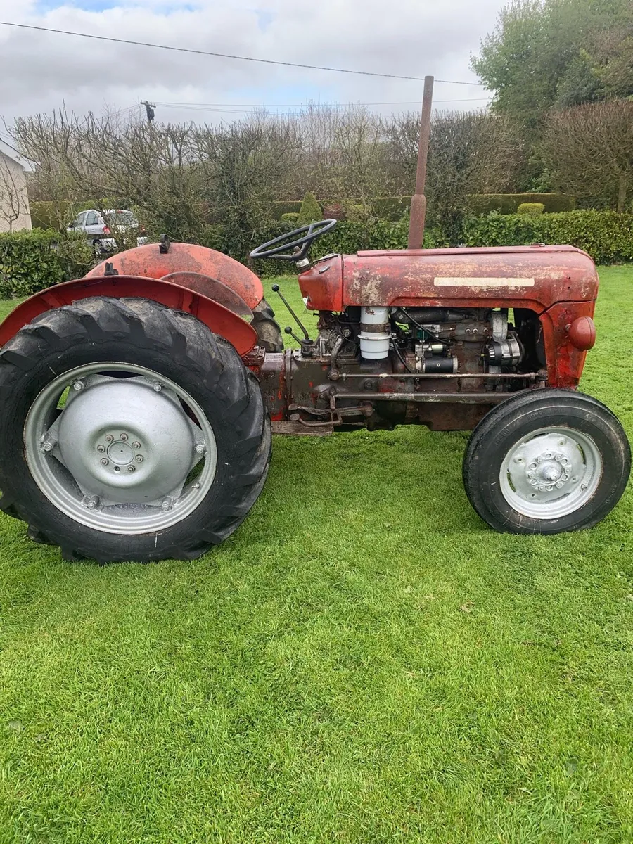 Massey Ferguson 35 with 35x reconditioned - Image 3