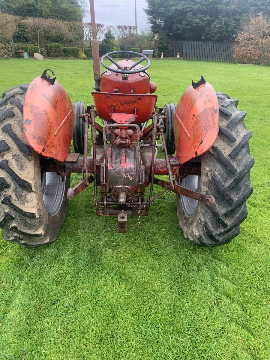 Massey Ferguson 35 with 35x reconditioned - Image 4