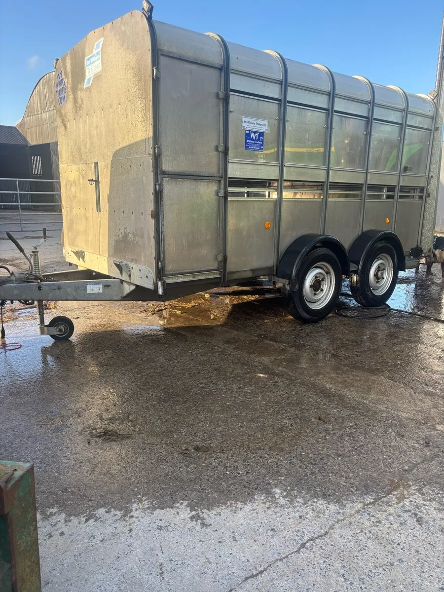 Ifor Williams livestock Trailer - Image 3
