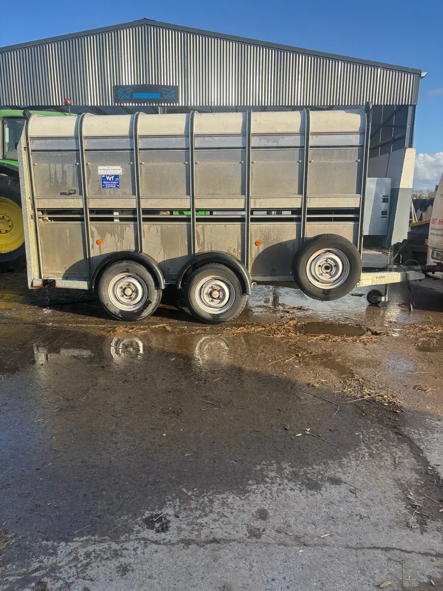 Ifor Williams livestock Trailer - Image 4