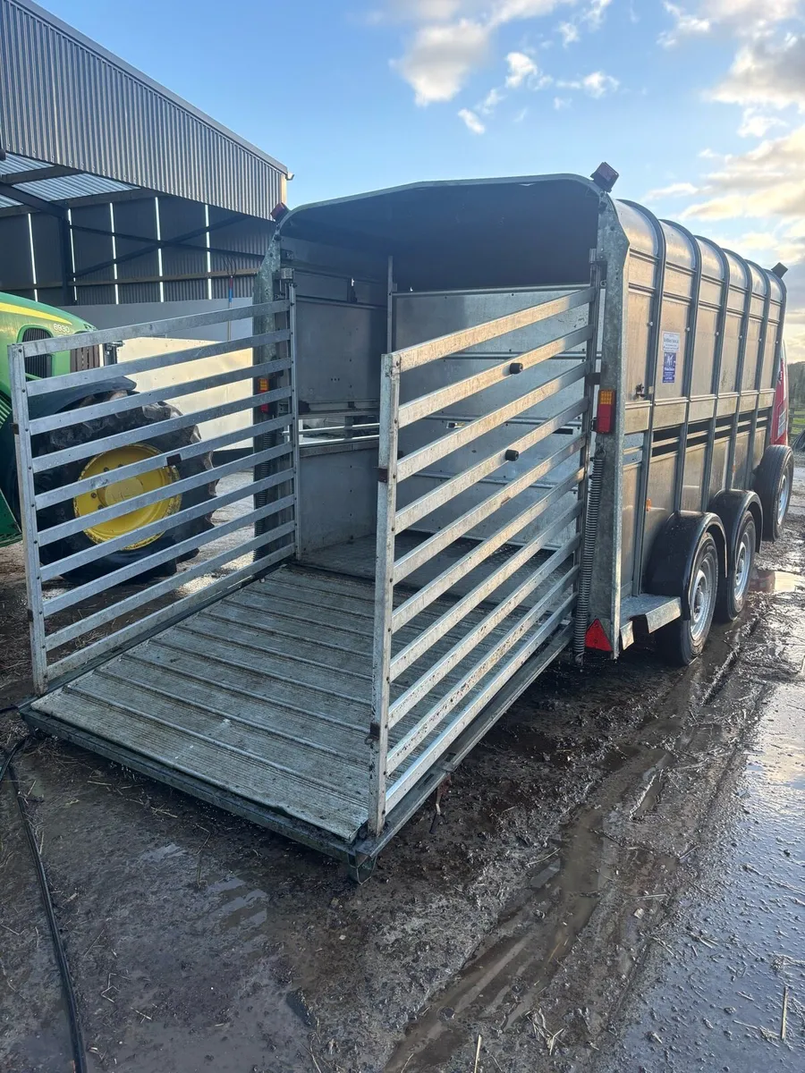 Ifor Williams livestock Trailer - Image 4